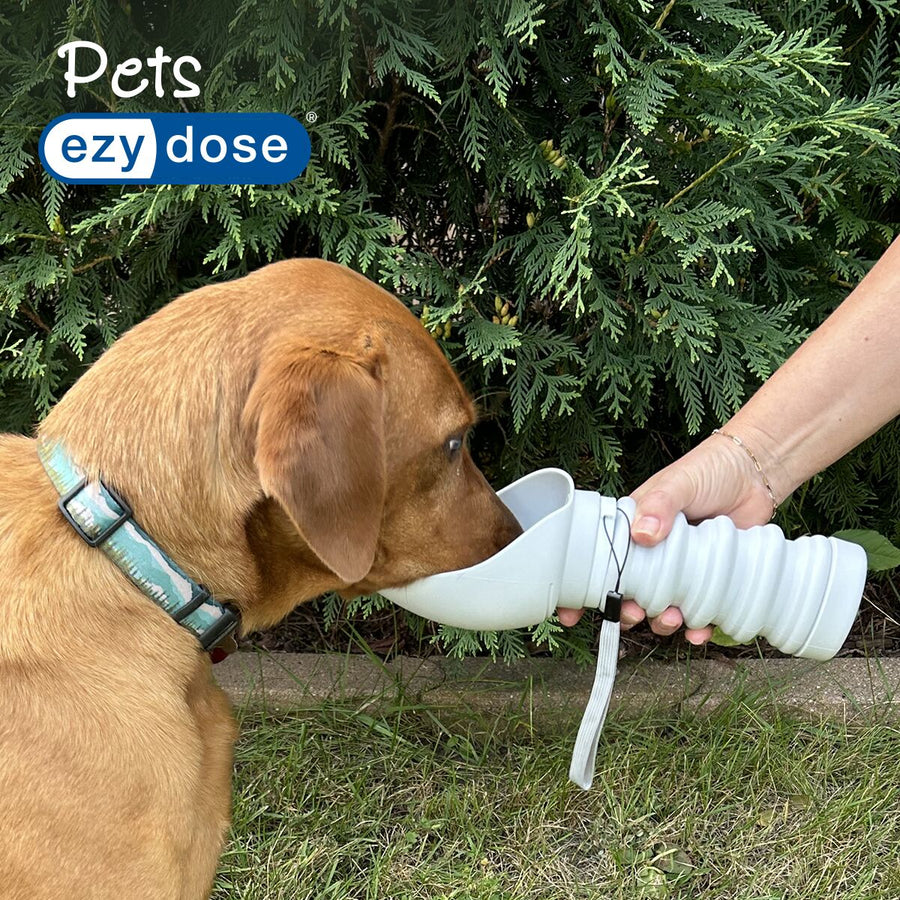 Ezy Dose® Pet Collapsible Water Bottle